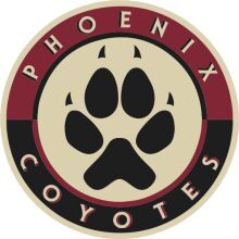 Phoenix Coyotes: A Symbol of Team Spirit and Pride