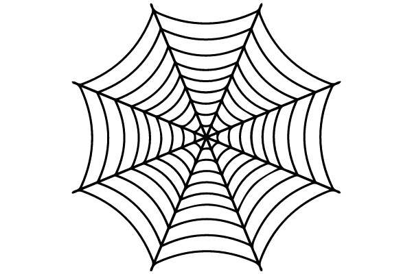 Spiderweb Design