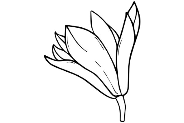 Stylized Line Drawing of a Flower