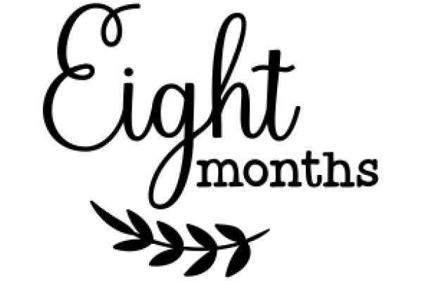 Eight Months: A Graphic Design Project