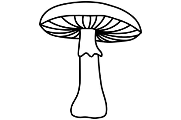 Simplistic Line Drawing of a Mushroom