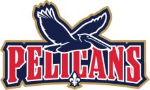 Pelicans Logo: A Symbol of Team Spirit and Excellence