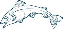 Stylized Illustration of a Fish with a Surprised Expression