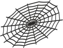 A Simple Black and White Spider Web