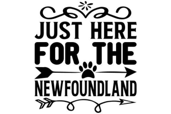 Welcome to Newfoundland: Just Here for the Adventure!