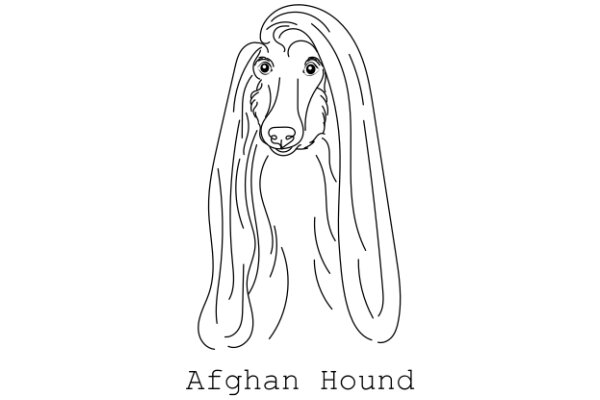 A Whimsical Portrayal of an Afghan Hound