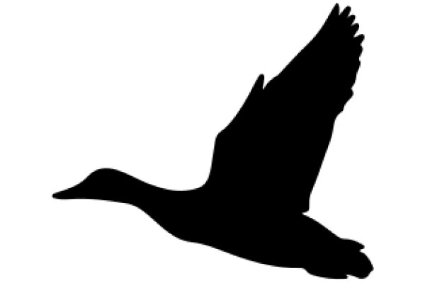 Silhouette of a Duck in Flight