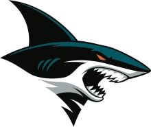 Vibrant and Fierce: The Shark Logo