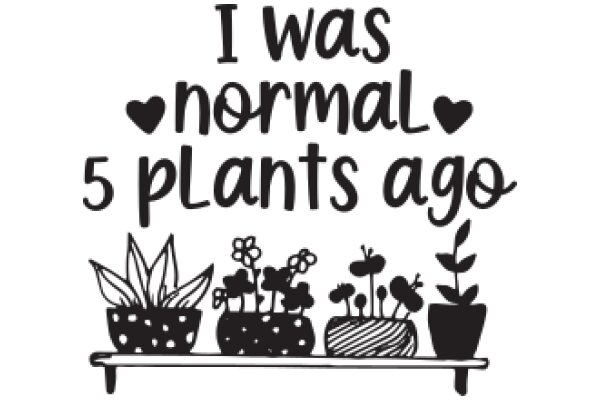 A Whimsical Display of Plants and a Heartfelt Message