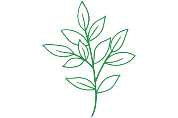 Simplistic Green Line Drawing of a Plant