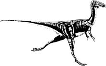 A Classic Black and White Illustration of a Velociraptor