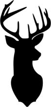 Silhouette of a Deer's Head on a White Background