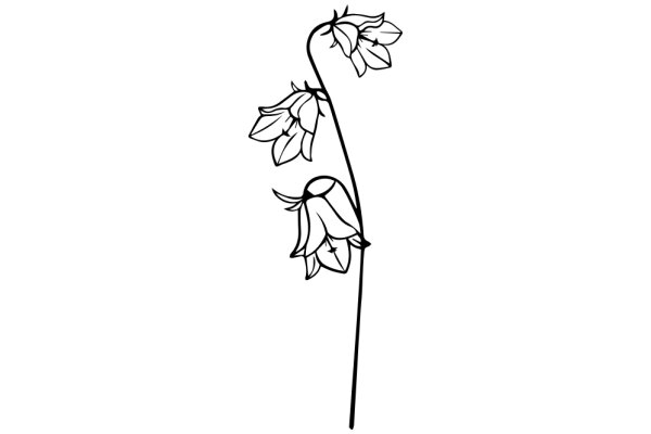 Line Drawing of a Flower Stem with Flower Buds