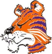 Vivid Orange and Purple Tiger Logo on a White Background