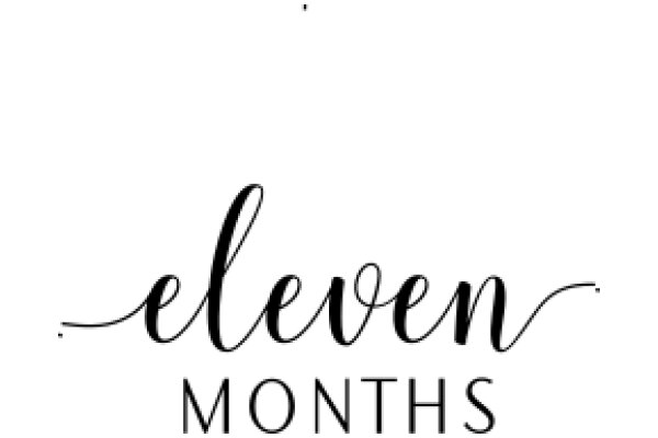 Eleven Months: A Graphic Design Showcase