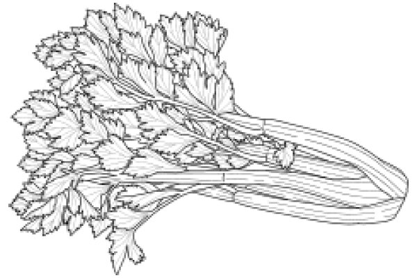 Stylized Artwork of a Plant with Curved Stems and Leafy Branches