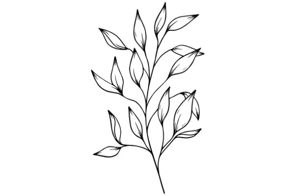 Stylized Line Drawing of a Plant with Leaves and Flowers