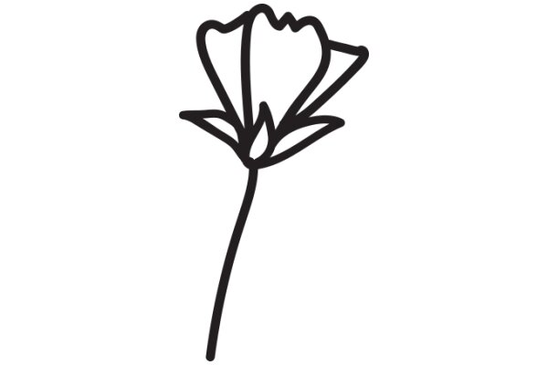 Simplistic Line Drawing of a Flower