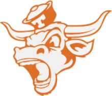 Vintage Orange Bull Logo