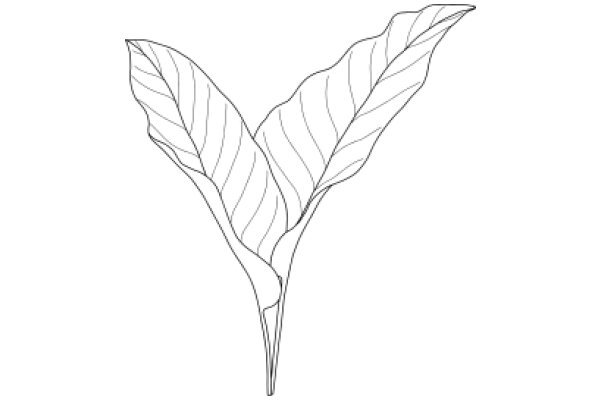 Simplistic Line Drawing of a Leafy Plant