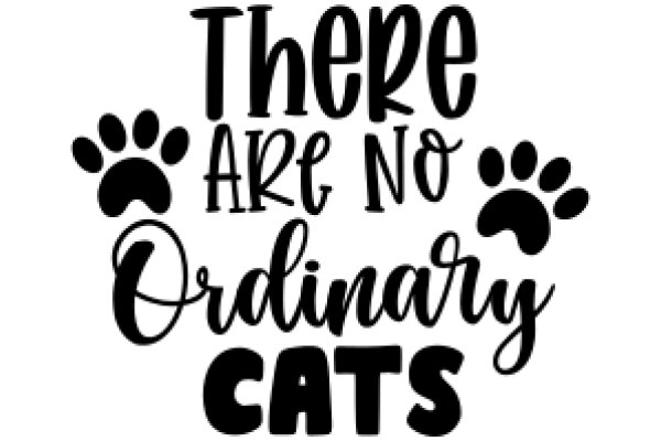 There Are No Ordinary Cats: A Playful Affirmation of Feline Uniqueness