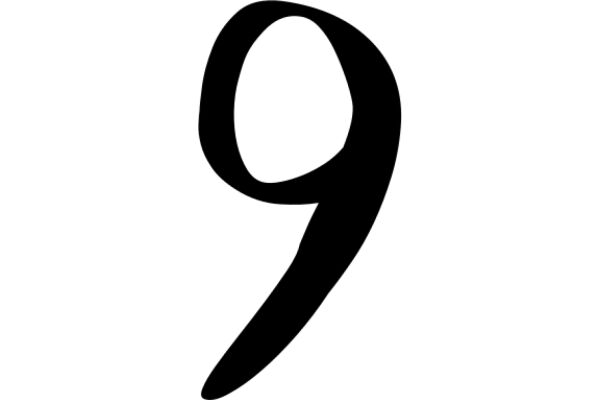 Simplicity in Design: A Black Number Nine