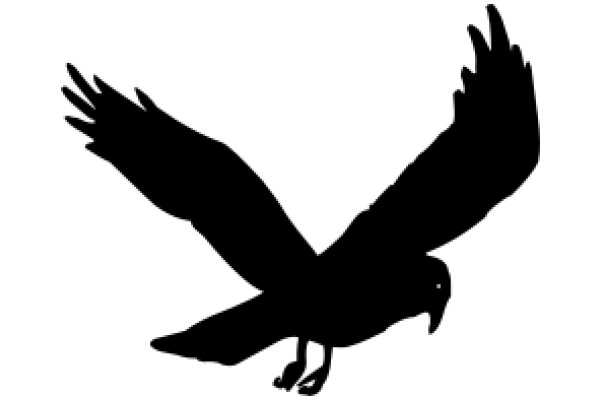 Silhouette of a Bird in Flight