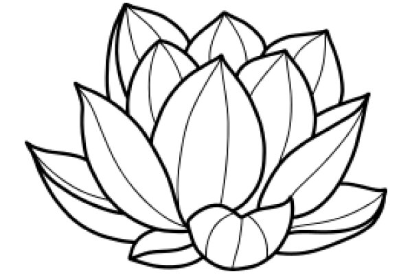 Stylized Lotus Flower Illustration