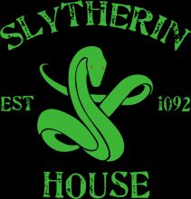 The Slytherin House: A Symbol of Excellence and Cunning