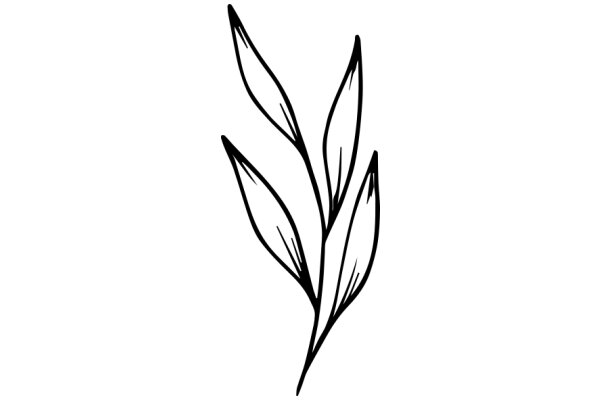 Stylized Artwork of a Plant with Curved Leaves