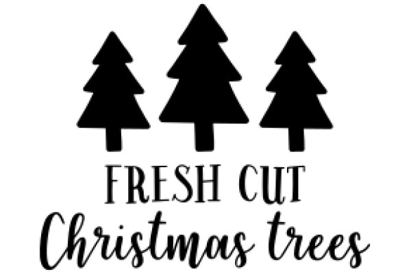 Fresh Cut Christmas Trees