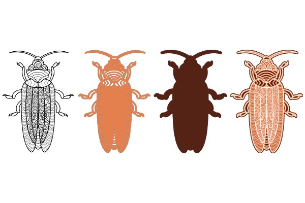 A Comparative Study of Four Stylized Beetle Designs