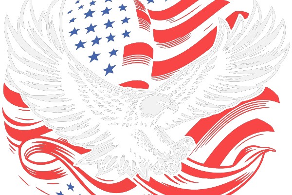 Eagle's Wings Emblazoned on American Flag Design