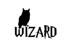 Wizard Owl: A Symbol of Wisdom and Magic