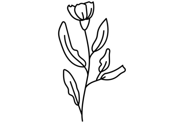 Simplistic Line Drawing of a Flower