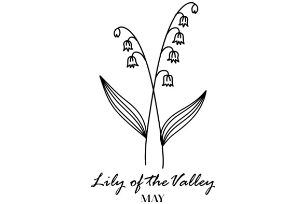 Lily of the Valley: A Symbol of May