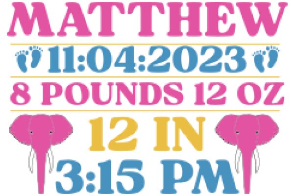 Matthew's Birthday Celebration: A Playful Countdown to His 33rd Birthday