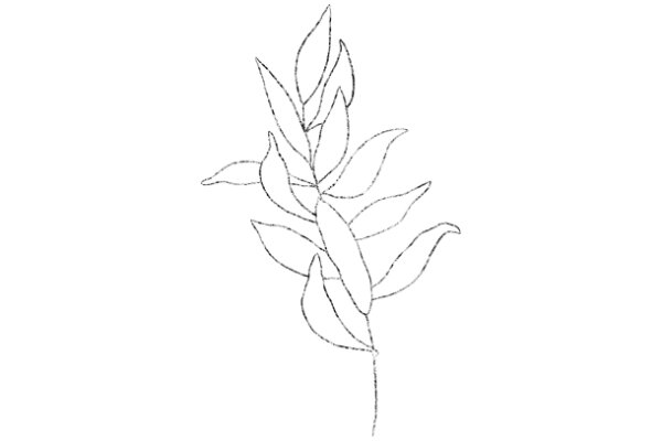 Simplistic Line Drawing of a Flower