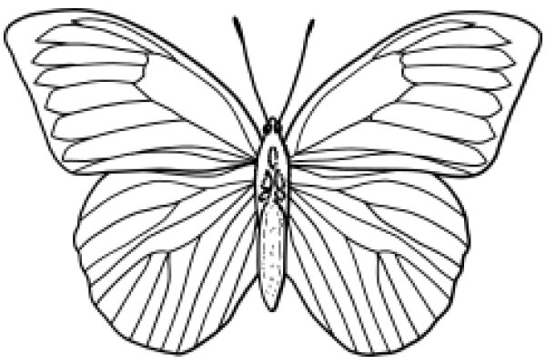 Stylized Butterfly Line Drawing